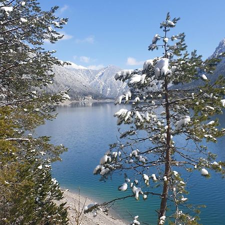 Ammerwald Alm بلانزي المظهر الخارجي الصورة