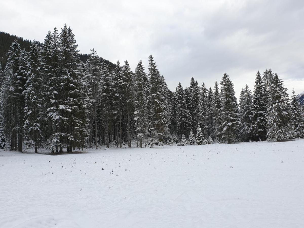 Ammerwald Alm بلانزي المظهر الخارجي الصورة